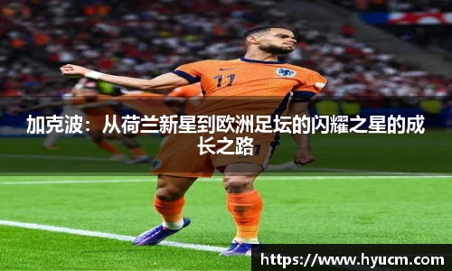 芒果体育平台