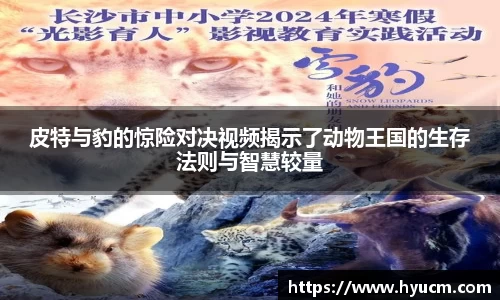皮特与豹的惊险对决视频揭示了动物王国的生存法则与智慧较量